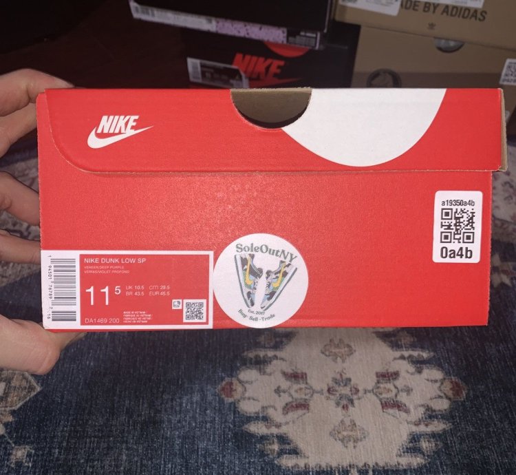 2024 Nike Dunk Low Veneer