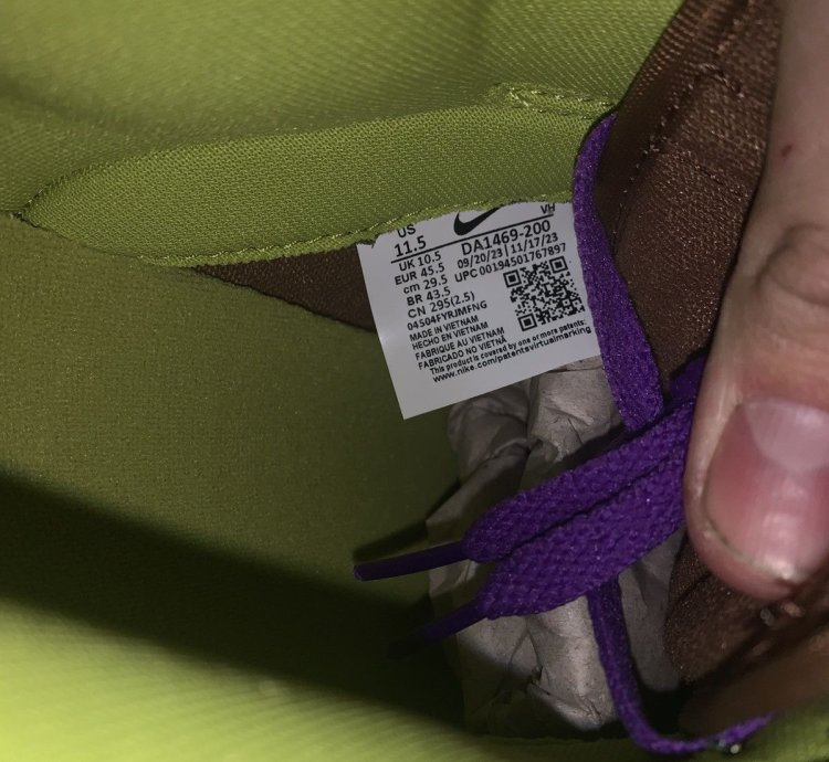 2024 Nike Dunk Low Veneer