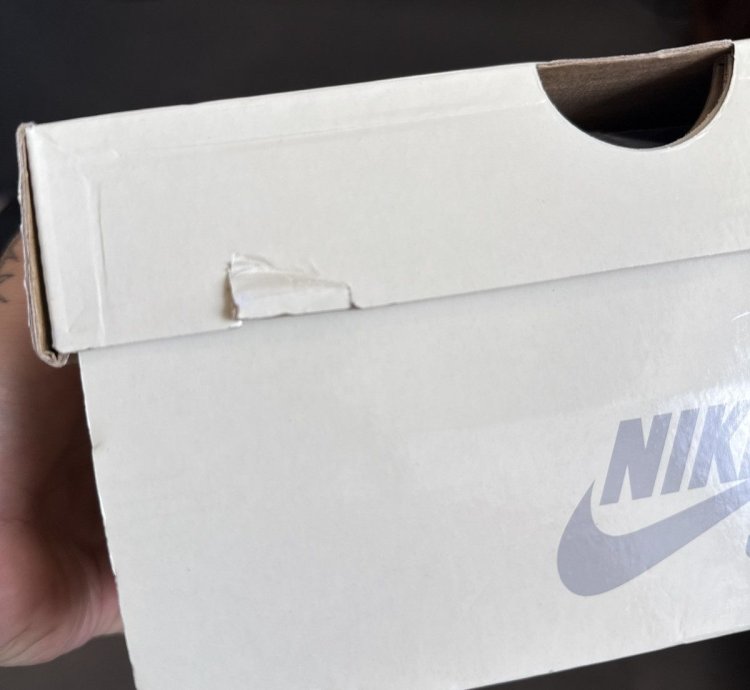 2024 Nike Sb Dunk Low Rayssa Leal