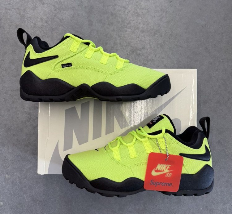 2024 Supreme Nike Sb Darwin Low Volt