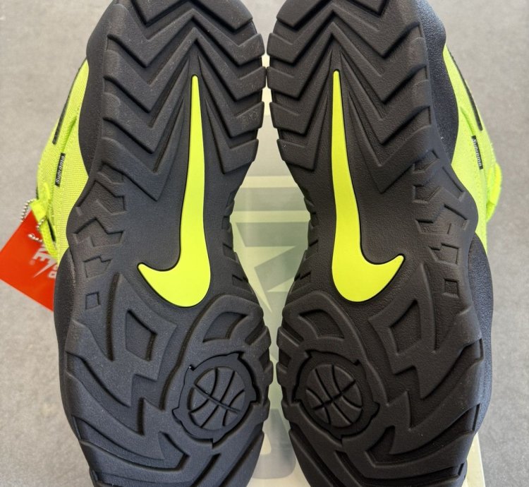2024 Supreme Nike Sb Darwin Low Volt