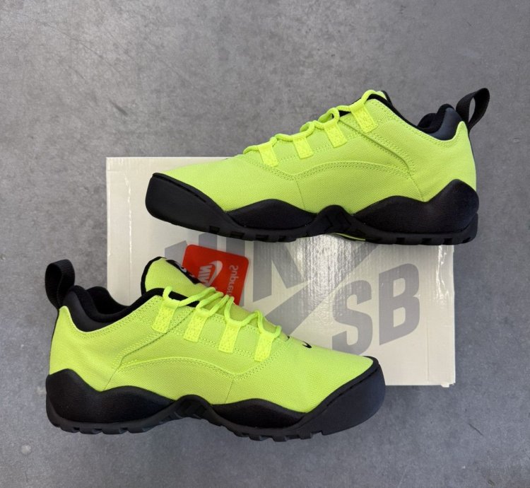 2024 Supreme Nike Sb Darwin Low Volt