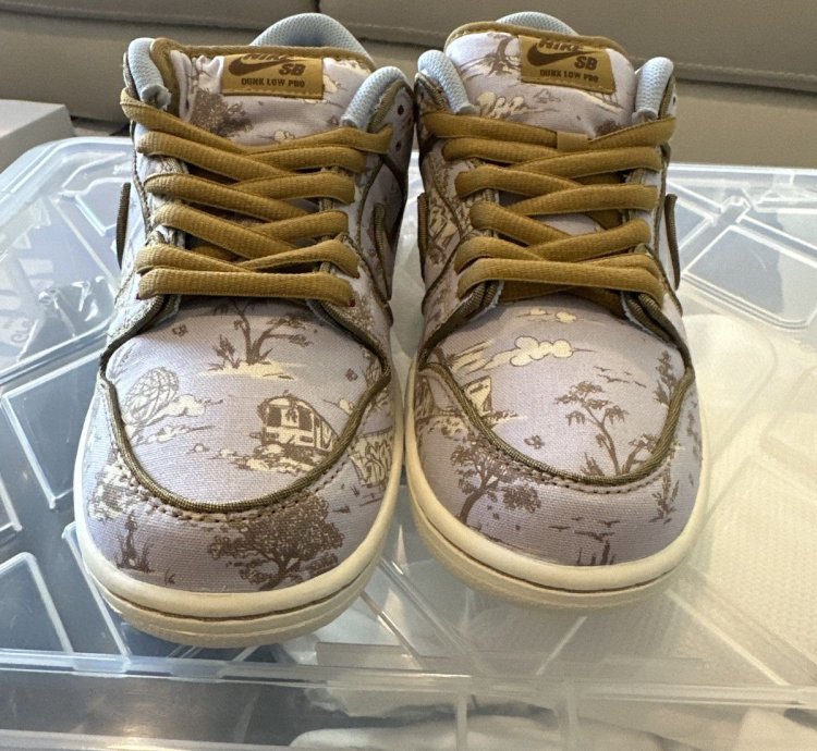Nike Sb Dunk Low City Of Style