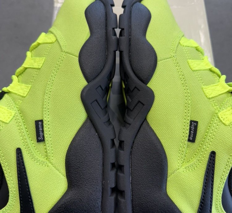 2024 Supreme Nike Sb Darwin Low Volt