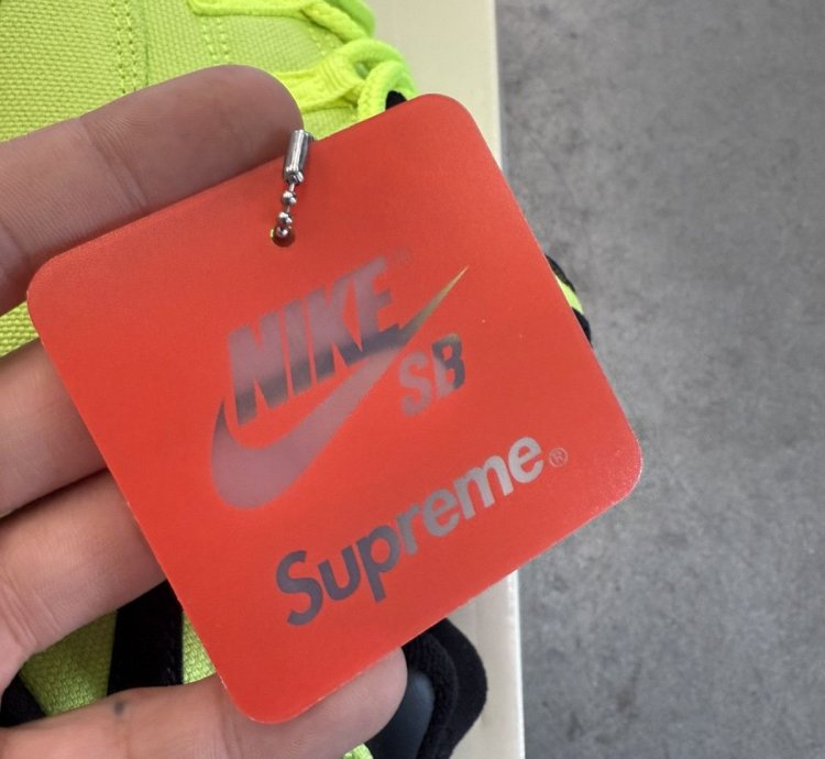 2024 Supreme Nike Sb Darwin Low Volt