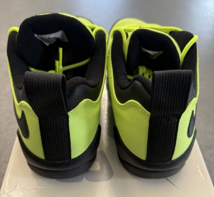 2024 Supreme Nike Sb Darwin Low Volt