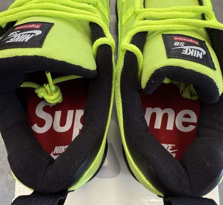 2024 Supreme Nike Sb Darwin Low Volt
