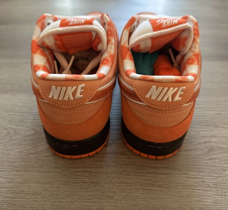Nike Sb Dunk Low Concepts - Orange Lobster