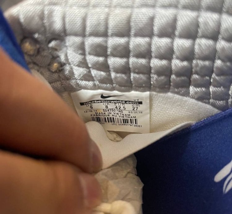 Nike Sb Dunk Low Concepts Grail