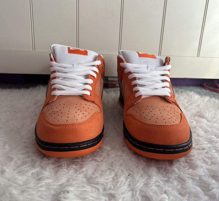 Nike Sb Dunk Low Concepts Orange Lobster Fd8776-800