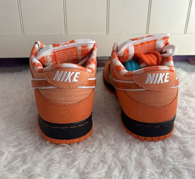 Nike Sb Dunk Low Concepts Orange Lobster Fd8776-800