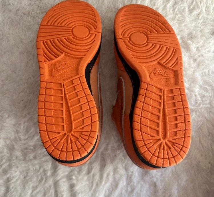 Nike Sb Dunk Low Concepts Orange Lobster Fd8776-800
