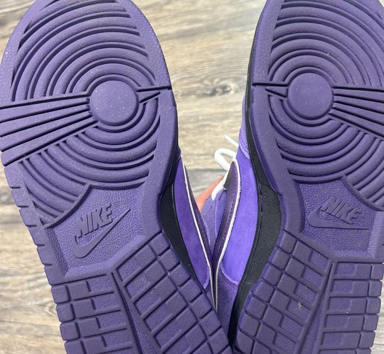 Nike Sb Dunk Low Concepts Purple Lobster