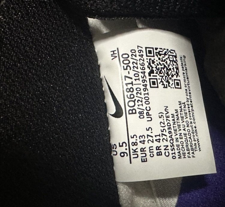 Nike Sb Dunk Low Court People 2021