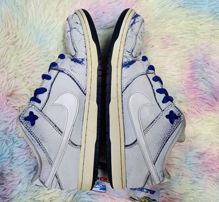 Nike Sb Dunk Low Cracked Leather