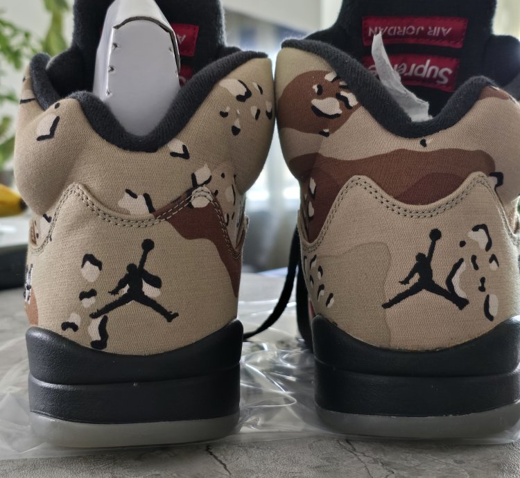 Jordan 5 Retro Supreme Desert Camo 5