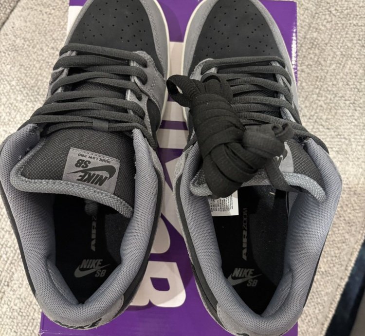 Nike Sb Dunk Low Dark Smoke Grey Brand New ds