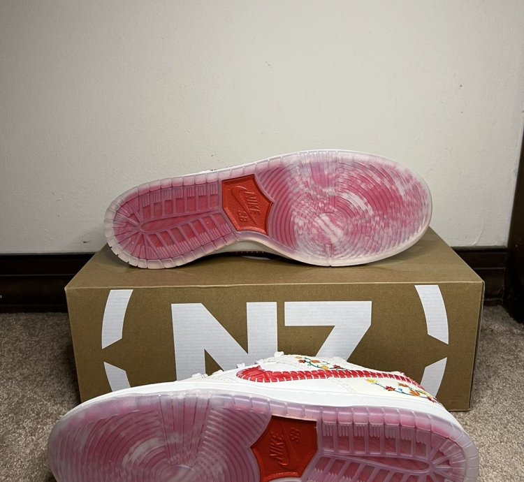 Nike Sb Dunk Low Devon N7