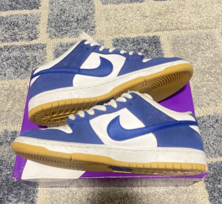 Nike Sb Dunk Low Dodger