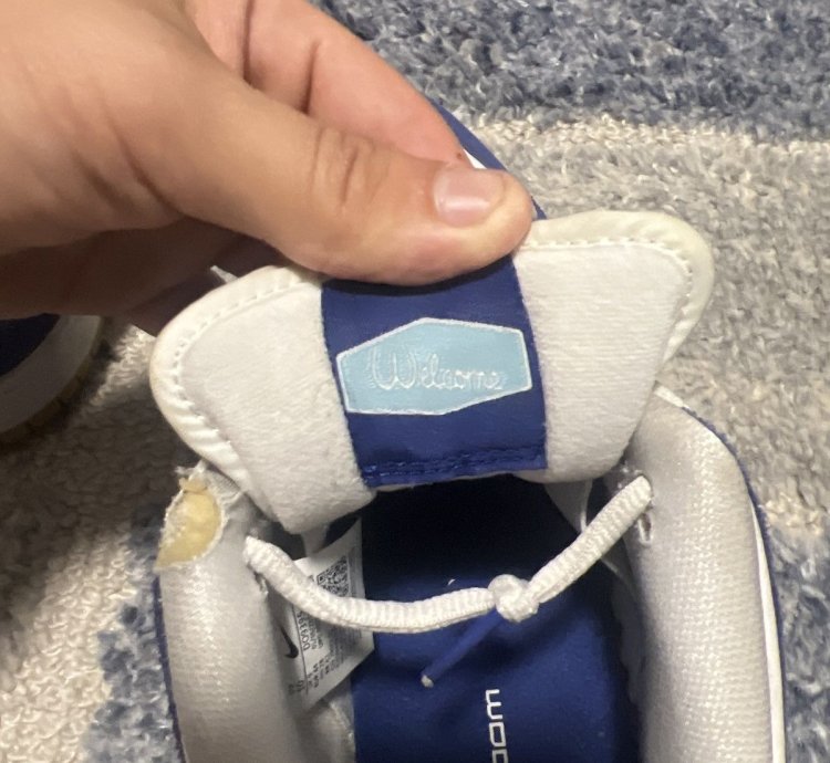 Nike Sb Dunk Low Dodger