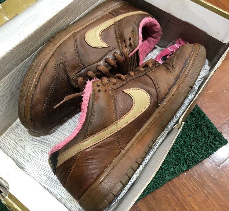 Nike Sb Dunk Low Gibson Guitar Case