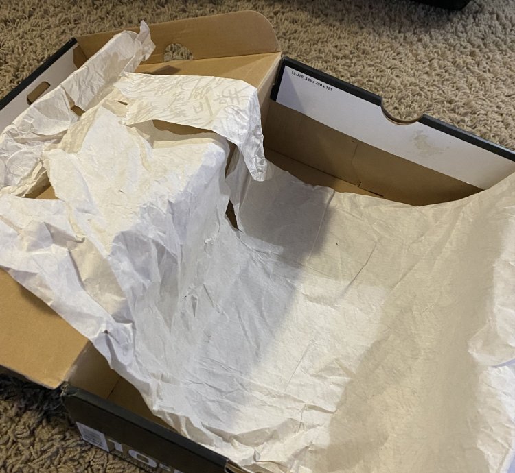 Jordan 9 Calvin Bailey Sz 10