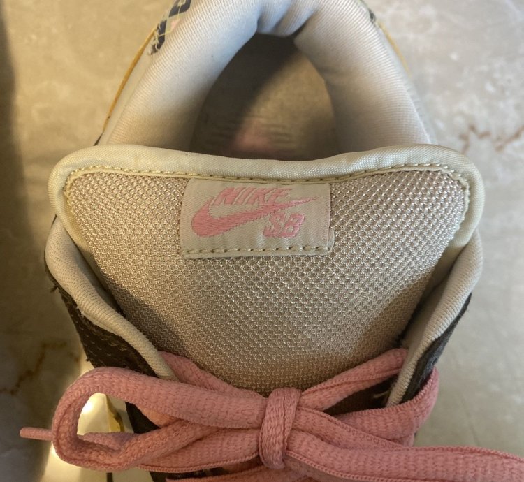 Nike Sb Dunk Low Golf Net