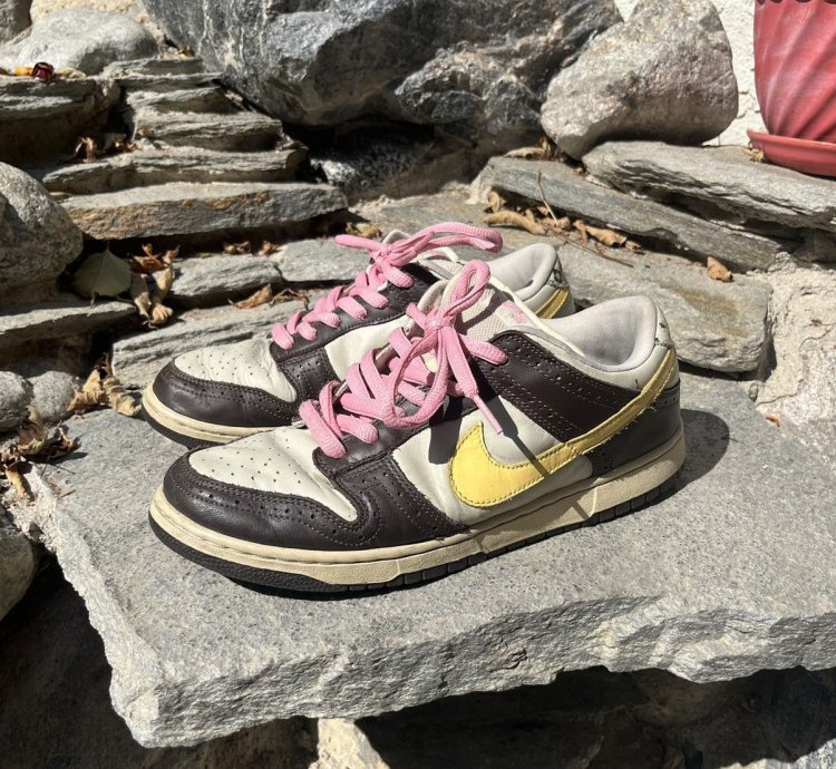 Nike Sb Dunk Low Golf Net - Brown