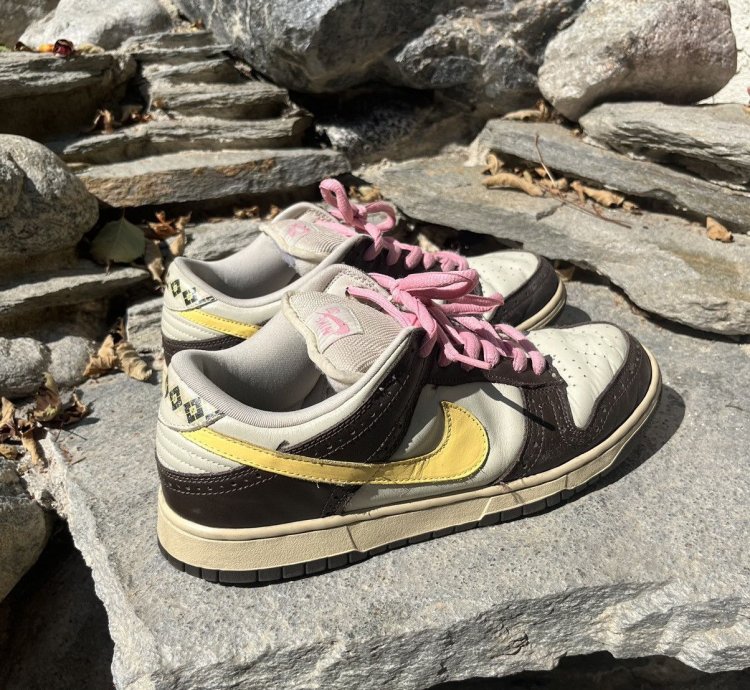 Nike Sb Dunk Low Golf Net - Brown
