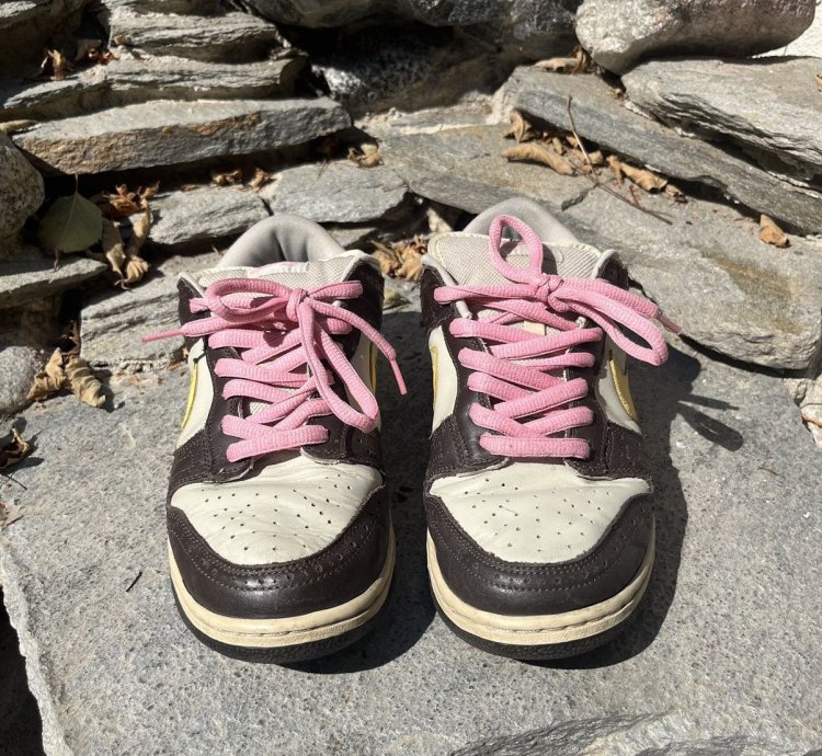 Nike Sb Dunk Low Golf Net - Brown