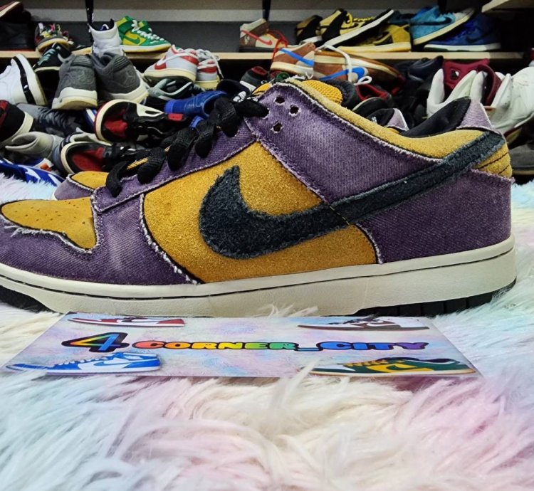 Nike Sb Dunk Low Goofy Boy