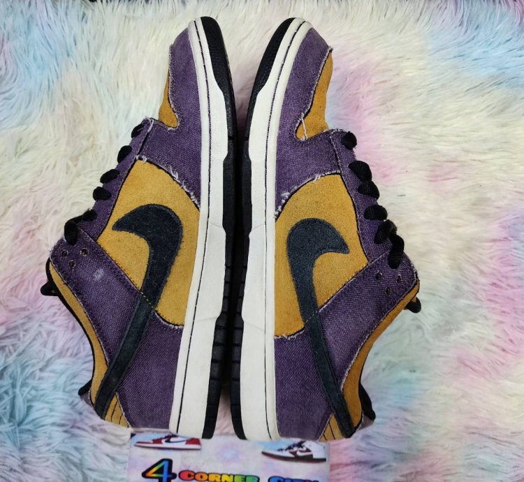 Nike Sb Dunk Low Goofy Boy
