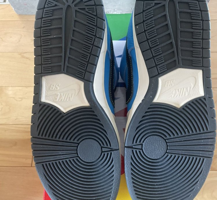 Nike Sb Dunk Low Instant