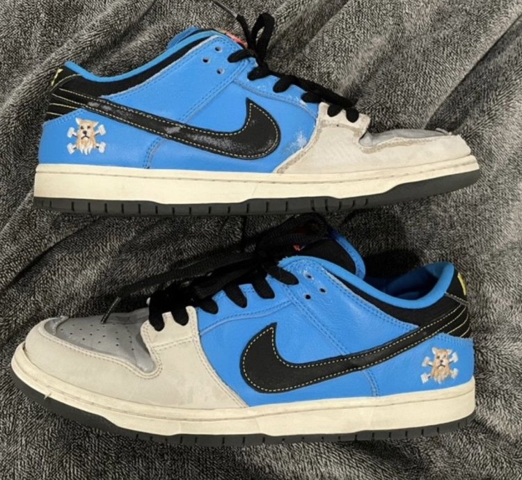 Nike Sb Dunk Low Instant Skateboard