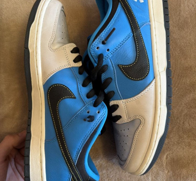 Nike Sb Dunk Low Instant Skateboards