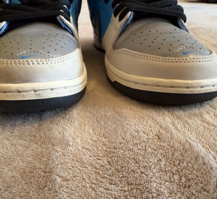 Nike Sb Dunk Low Instant Skateboards