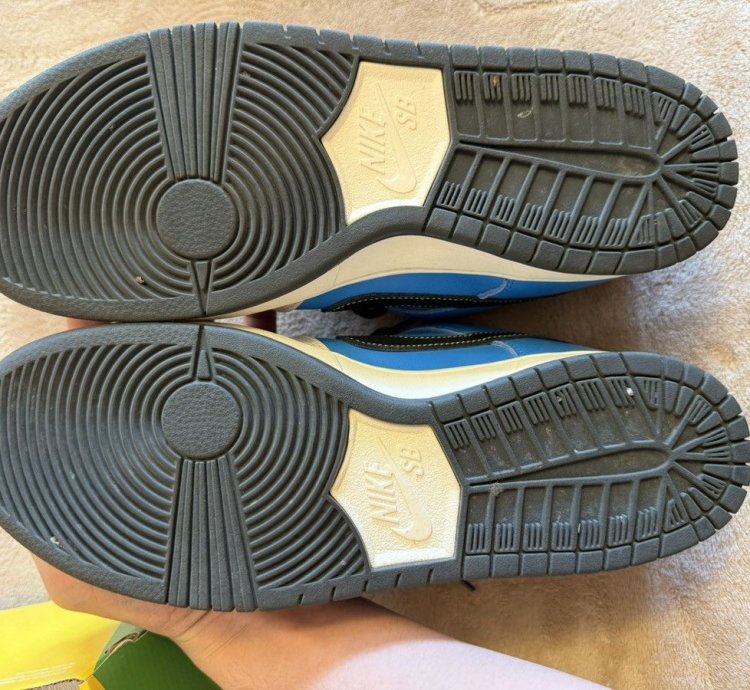 Nike Sb Dunk Low Instant Skateboards