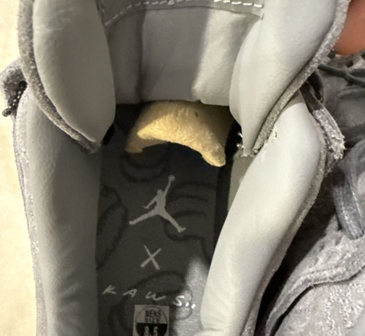 Jordan Kaws 4