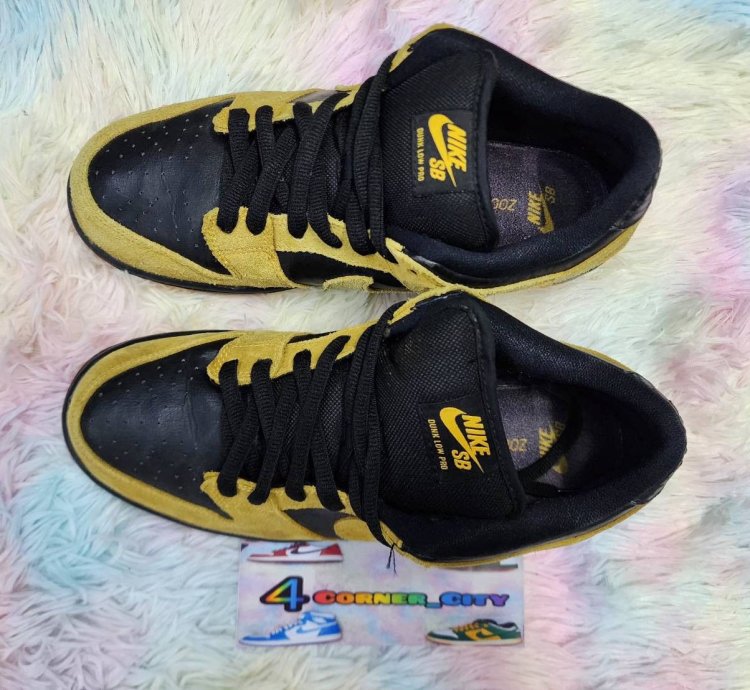 Nike Sb Dunk Low Iowa