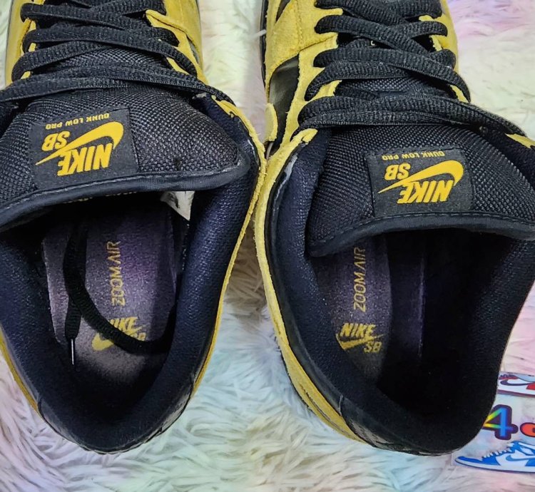 Nike Sb Dunk Low Iowa