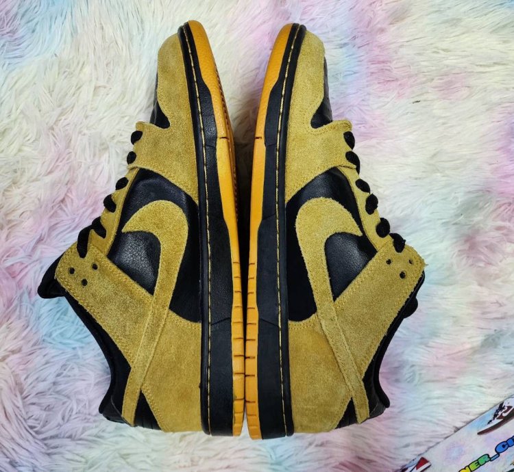 Nike Sb Dunk Low Iowa