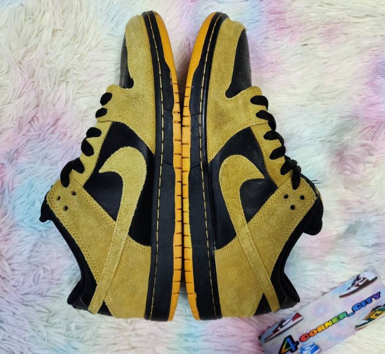 Nike Sb Dunk Low Iowa