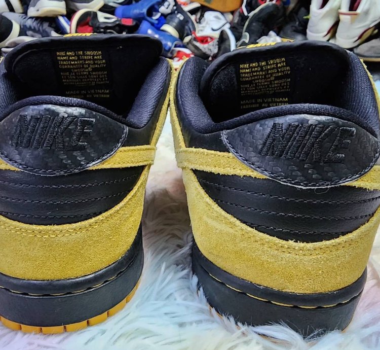Nike Sb Dunk Low Iowa