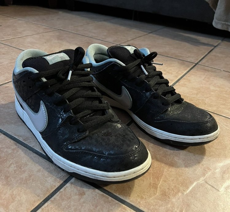 Nike Sb Dunk Low Lance Mountain