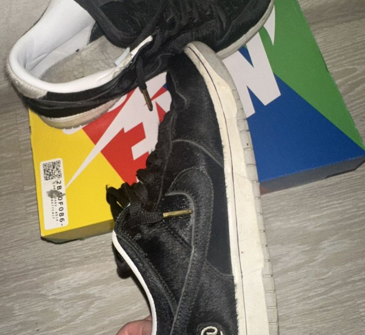 Nike Sb Dunk Low Medicom Toy