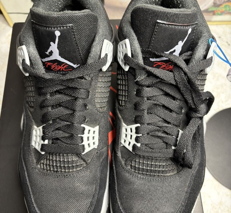 Jordan Retro 4 Canvas