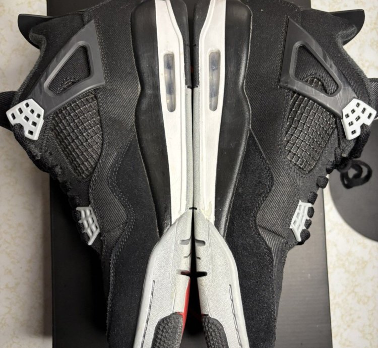 Jordan Retro 4 Canvas