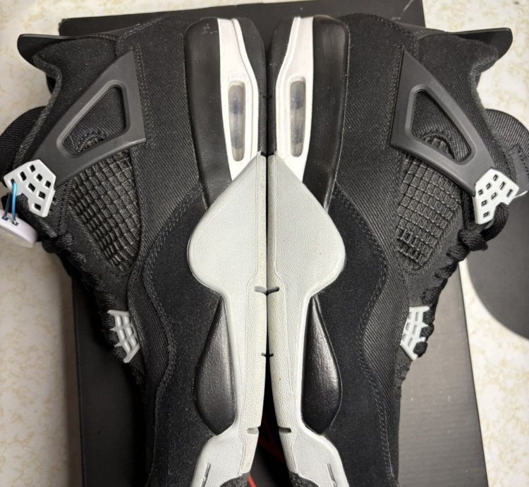 Jordan Retro 4 Canvas