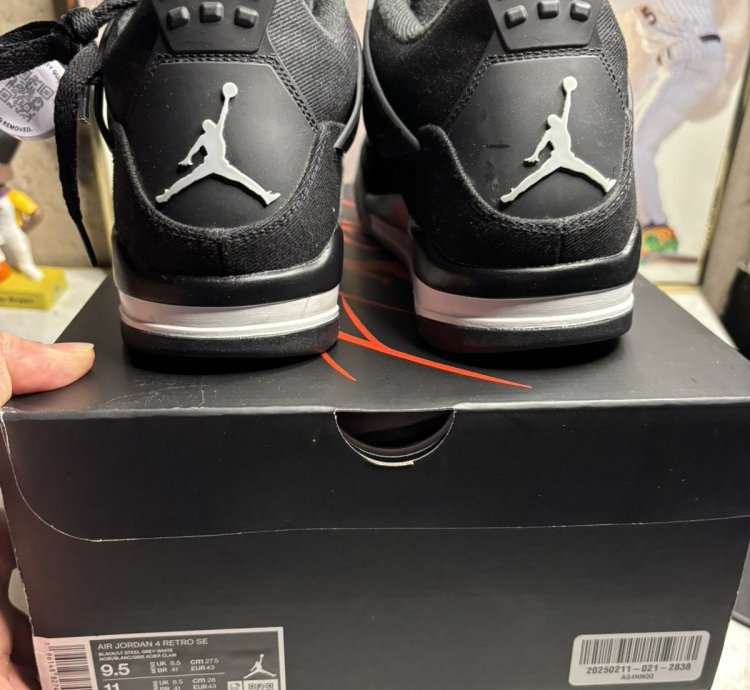 Jordan Retro 4 Canvas