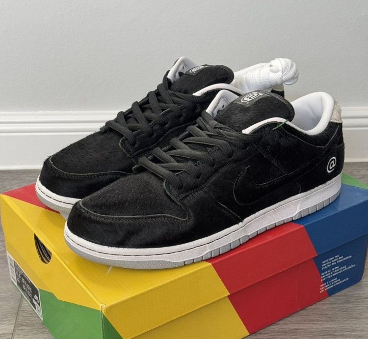 Nike Sb Dunk Low Medicom Toy Be Arbrick